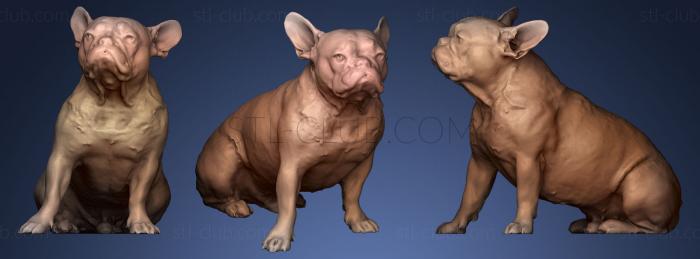 3D model DOG B37 (STL)